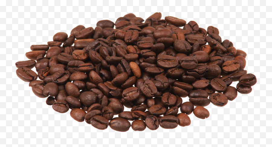 Download Coffee Beans Png Image For Free Bean Transparent