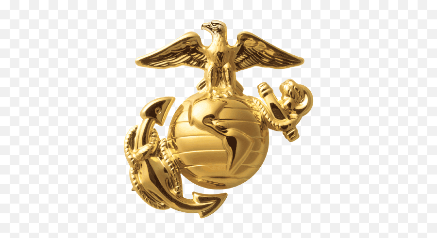 Gold Eagle Globe And Anchor - Us Marines Png,Eagle Globe And Anchor Png
