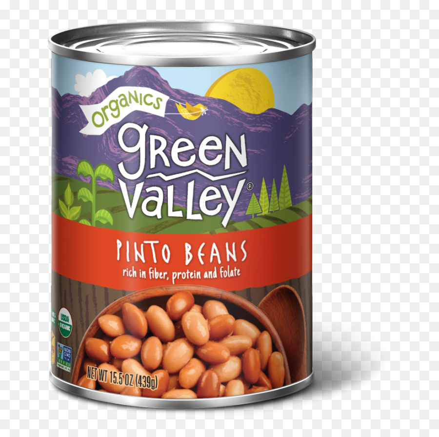 Pinto Beans U2013 Green Valley Organics - Organic Green Valley Beans Png,Bean Transparent
