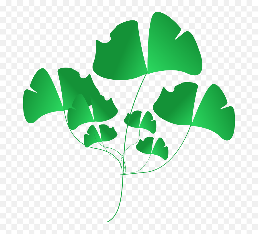 Download Green Leaf Clipart Png - Clip Art,Leaf Clipart Png