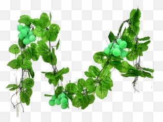 Flower Vine Png - Specials Simulation Gourd Vines Fake Fruit Png