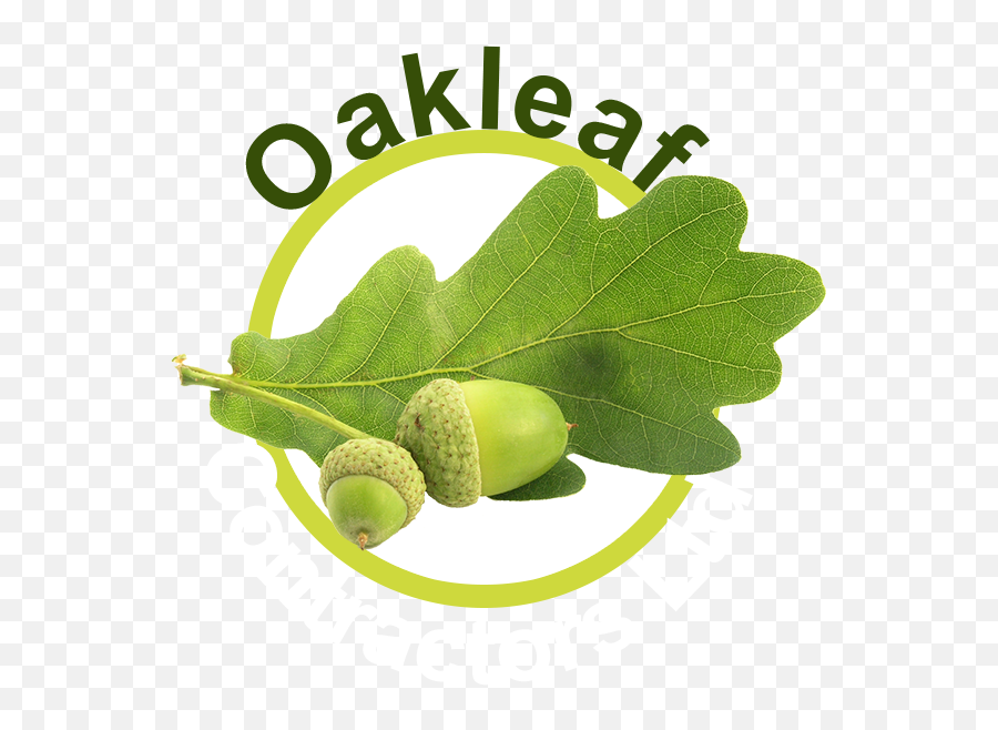 Civil Engineering Based In Bedfordshire Oakleaf Contractors - Oak Leaf Png,Oak Leaf Png