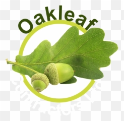 Civil Engineering Based In Bedfordshire Oakleaf Contractors - Oak Leaf Png,Oak Leaf Png