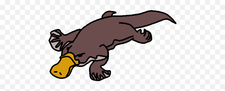 Perry The Platypus Png - Clip Art Library Platypus Clipart,Perry The Platypus Png