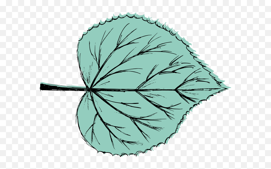 Leaf Drawing Vector Svg Png - Leaf Drawing Transparent,0 Png