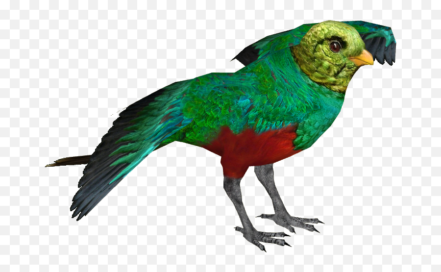 Golden - Parrots Png,Quetzal Png