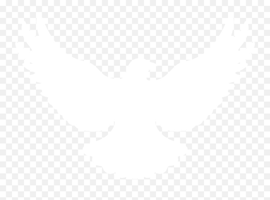 Dove Silhouette Png - Hawk Full Size Png Download Seekpng Dove Silhouette Png,Flying Dove Png