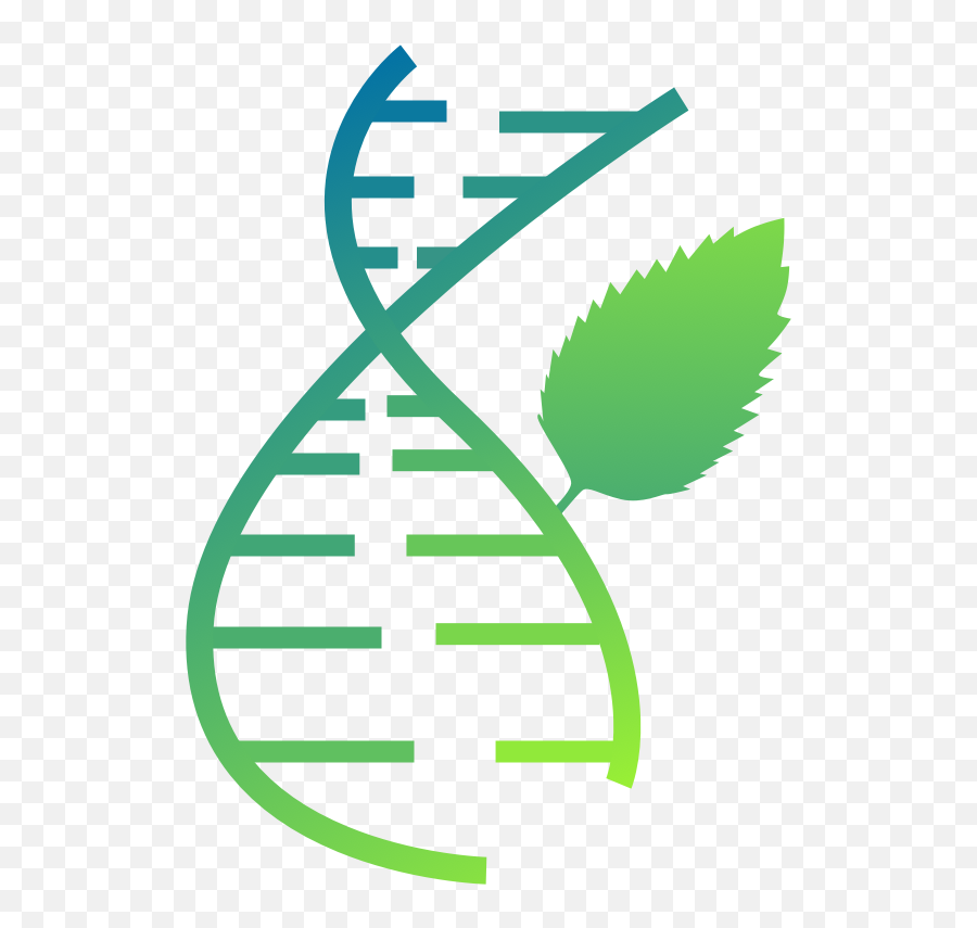 Mint Can Analyze Structure Of Your Rna - Vertical Png,Icon Meaning