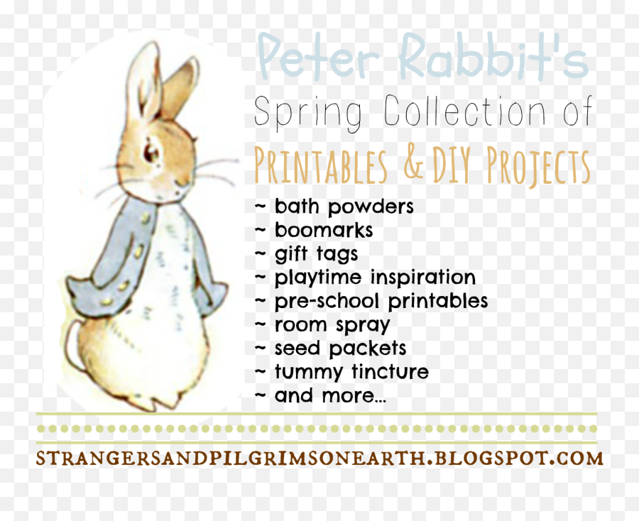 Strangers U0026 Pilgrims - Peter Flopsy Mopsy And Cottontail Png,Peter Rabbit Png