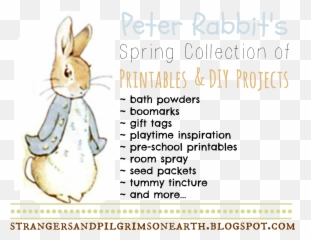 Strangers U0026 Pilgrims - Peter Flopsy Mopsy And Cottontail Png,Peter Rabbit Png