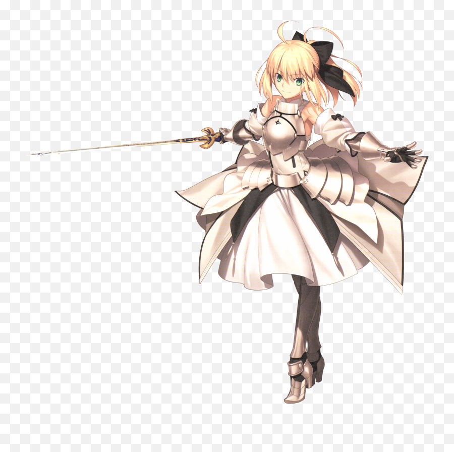 Question Abbout Fatewhy So Many Characters Are The Mirror - Order Png,Saber Fate Icon