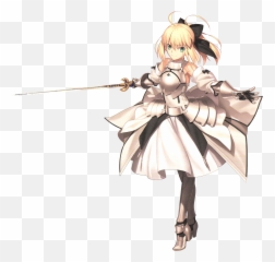 Question Abbout Fatewhy So Many Characters Are The Mirror - Order Png,Saber Fate Icon