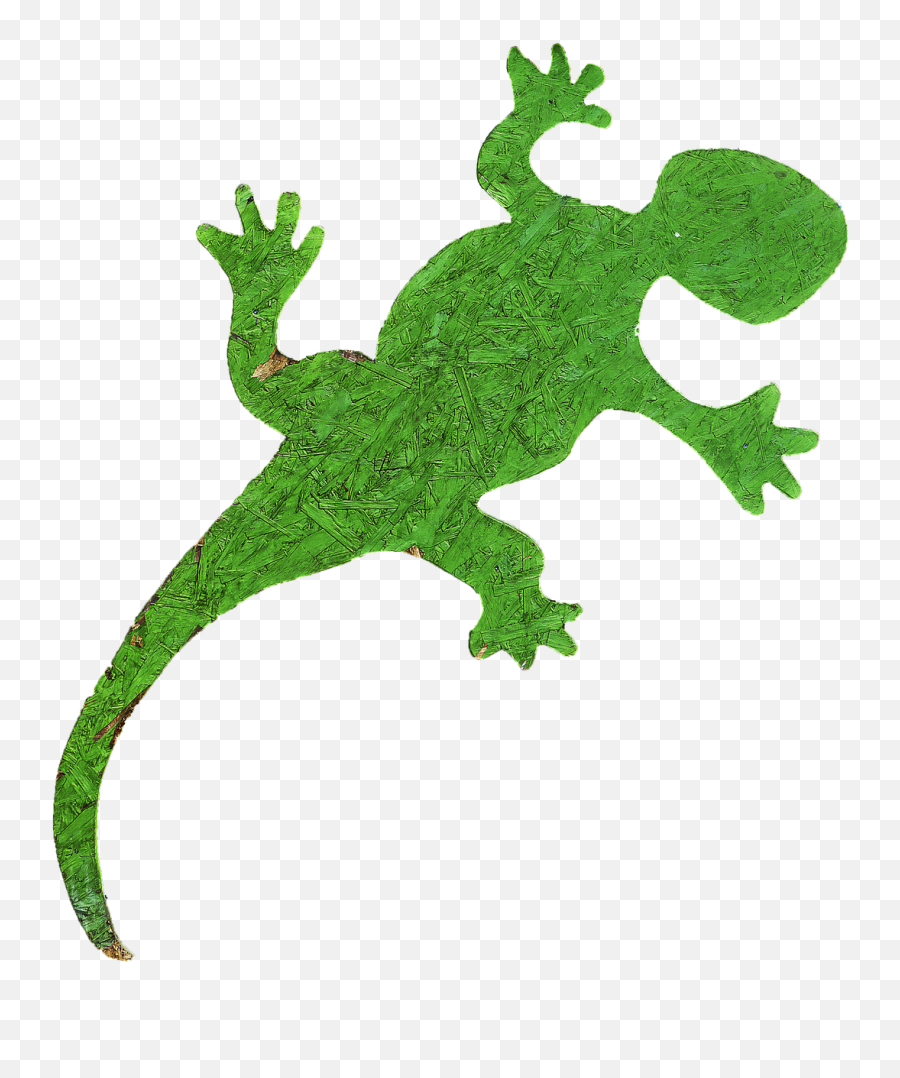 Download Gecko Holzfigur Figure - International Year Of Forests 2011 Png,Gecko Png
