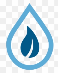 Biofuels Biomethane Diesel Substitutes Gasoline - Language png