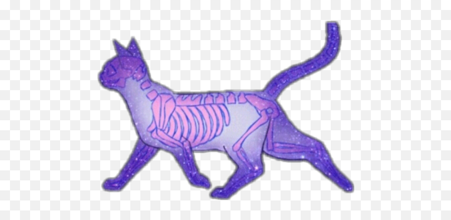 Cat Universe Pastel Goth - Rex Cat Png,Pastel Goth Png