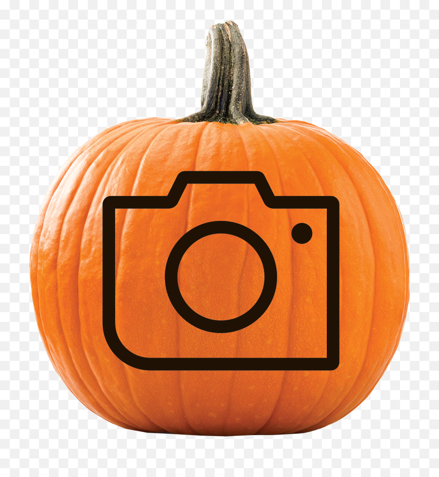 Pumpkin Patch Quality Products Low Prices Lidl Us - Jack O Lantern Funny Png,Halloween Instagram Icon
