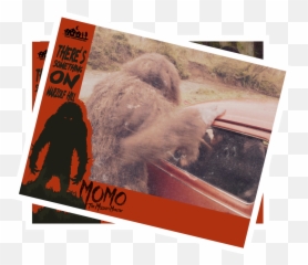 Momo The Missouri Monster Lobby Cards U2014 Small Town Monsters Png