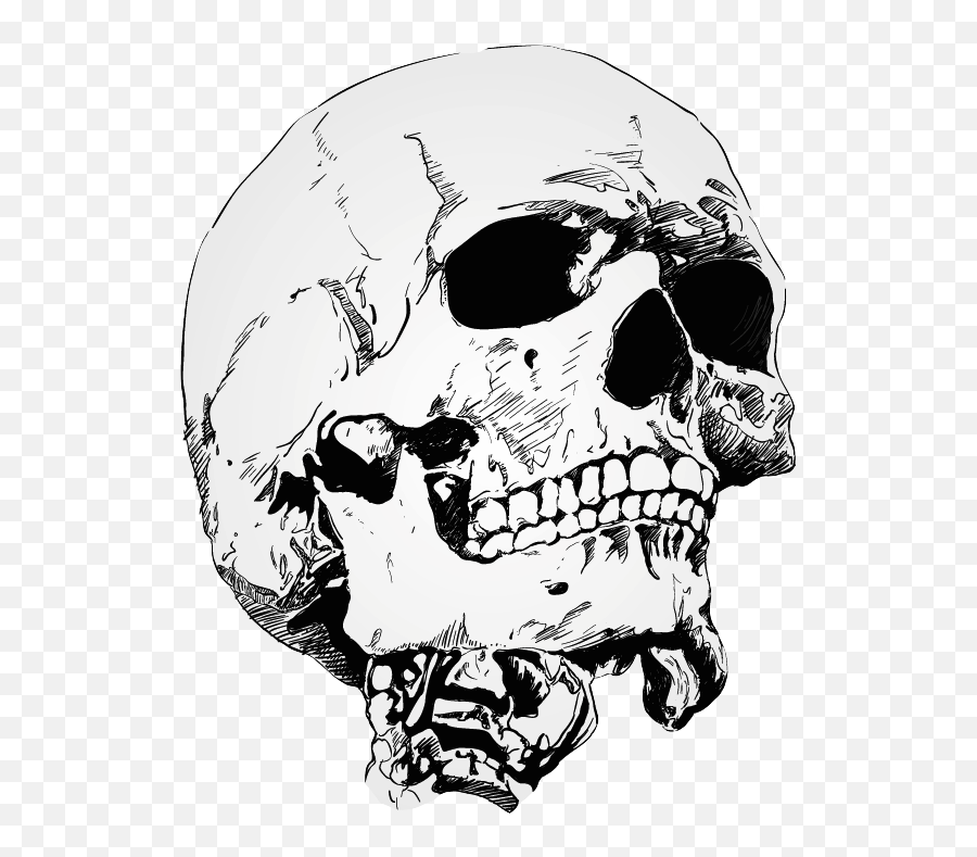 Download Transparalyze Crown Drawing - Skull Drawing Png,Skull Drawing Png