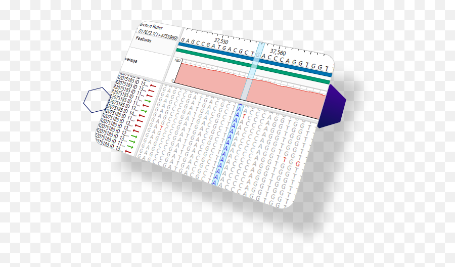 Bioinformatics Software For Life Science Dnastar Lasergene - Dot Png,Generaciones Icon