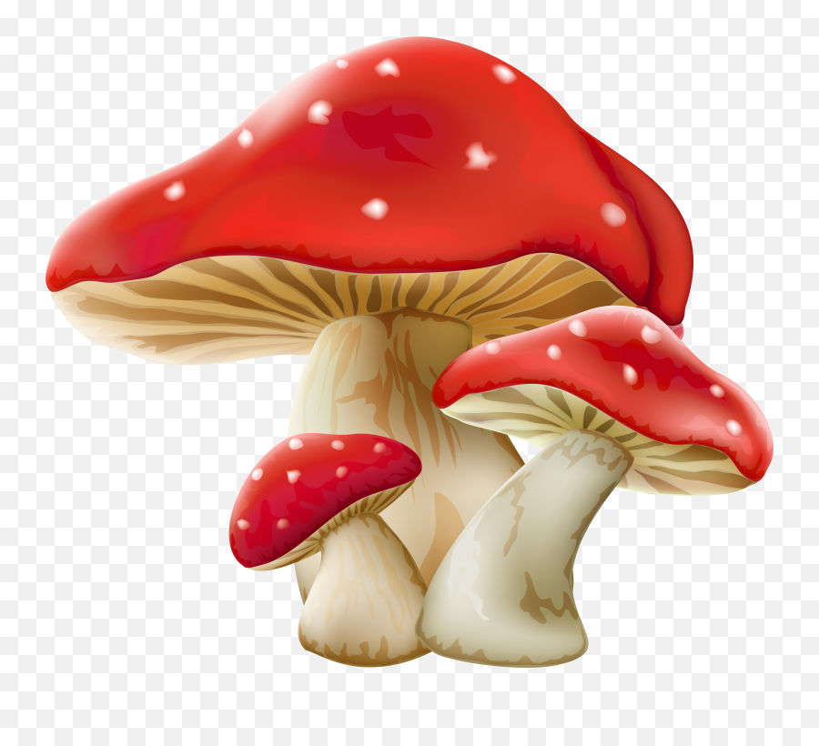 Download Mushroom Png Picture - Alice In Wonderland Mushroom Clipart,Mushroom Png