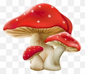 Download Mushroom Png Picture - Alice In Wonderland Mushroom Clipart,Mushroom Png