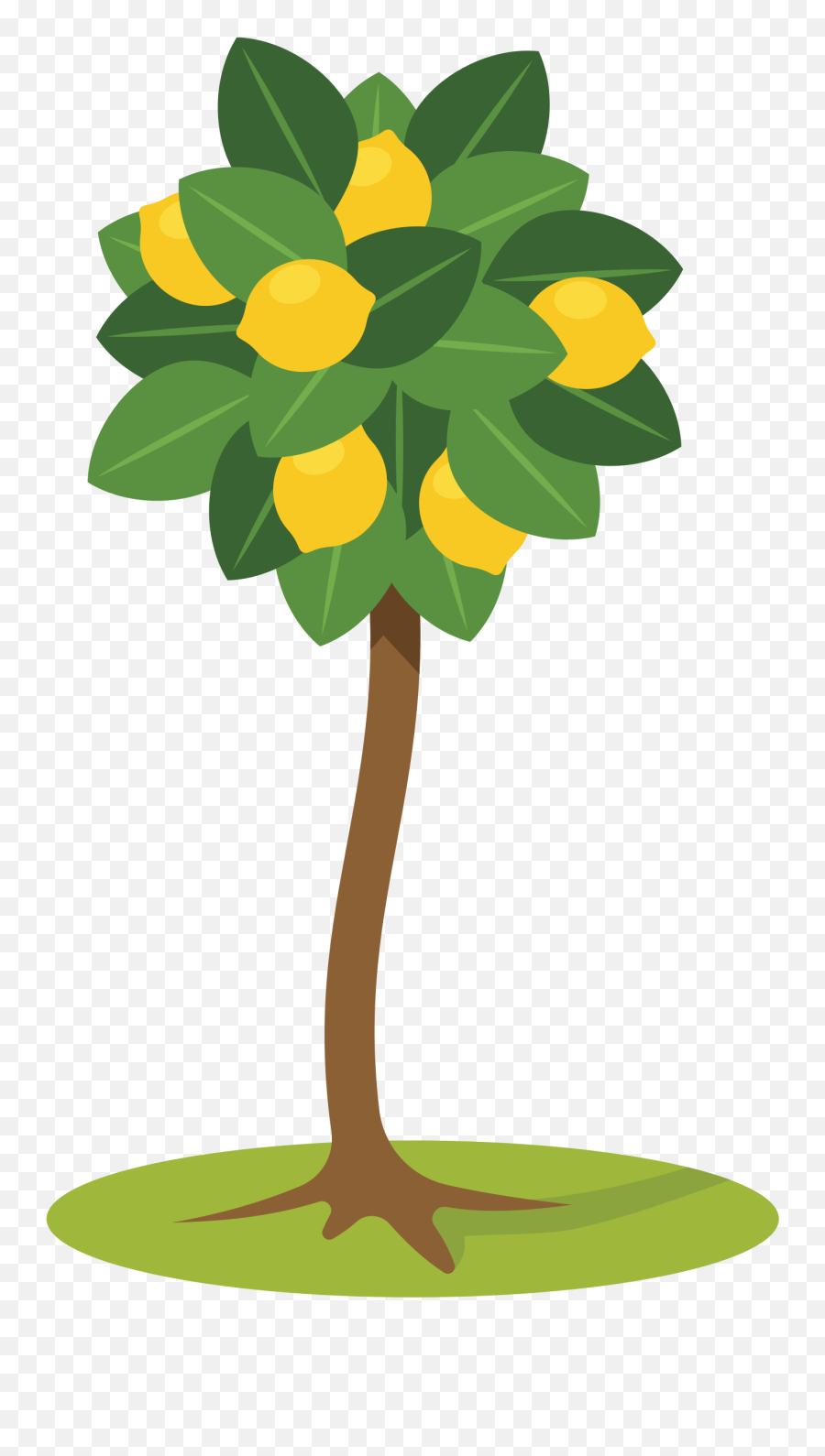 Lemon Tree Clipart Transparent Png - Lemon Tree Tree Clipart,Lemon Clipart Png