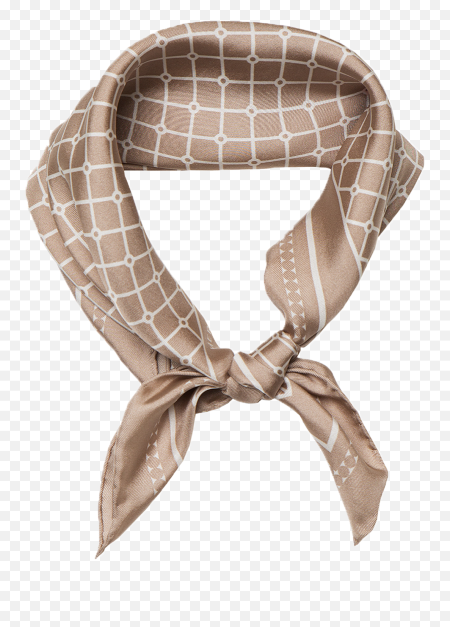 Hermine Hold Welcome To Our World Of Hair Accessories - Scarf Png,Scrunchie Png