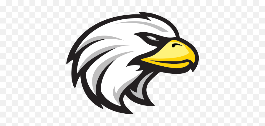 Printed Vinyl Eagle Head Stickers Factory - Bishop Watterson High School Png,Eagle Head Logo