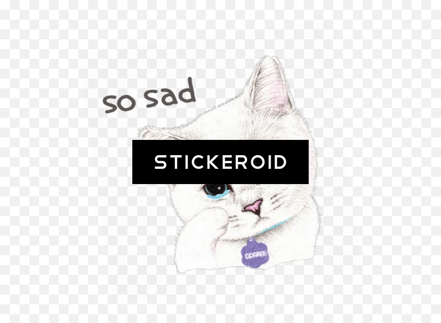 Download Sad Girl In Front Of Laptop - Duke Nukem Forever British Shorthair Png,Sad Girl Png