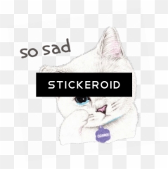 Download Sad Girl In Front Of Laptop - Duke Nukem Forever British Shorthair Png,Sad Girl Png