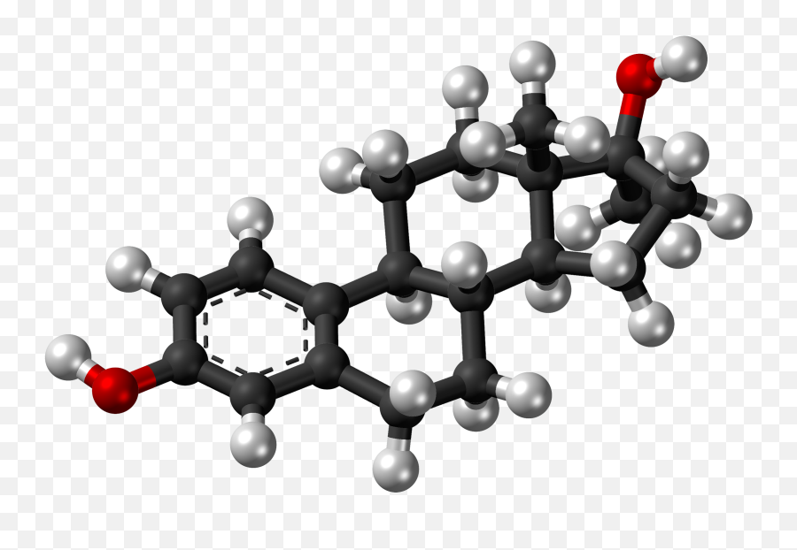 Filemethylestradiol Molecule Ballpng - Wikipedia Estrone Molecule Model 3d,Molecule Png