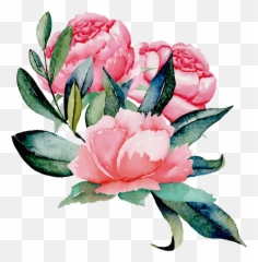 Peonies Floral Wall Sticker - Tenstickers Illustrations Peonies Png,Peonies Png