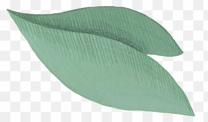 Download Cartoon Leaf Png - Elm