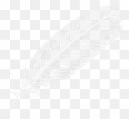 Feather Png - Transparent Background Feather Clip Art,Black Feather Png