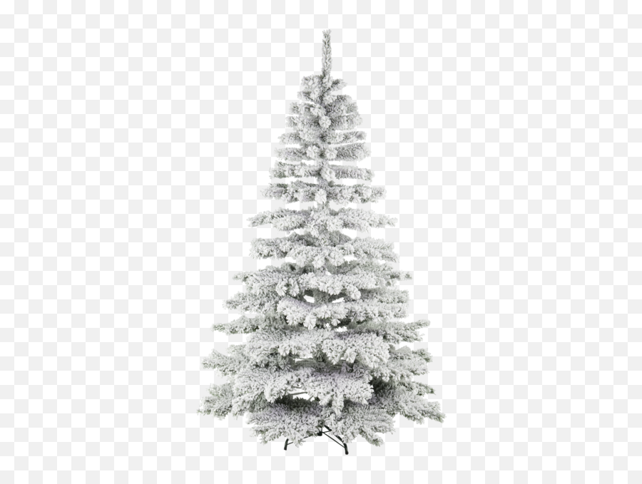 Christmas Tree Kiruna Snow - Vit Grön Julgran Png,Christmas Snow Png