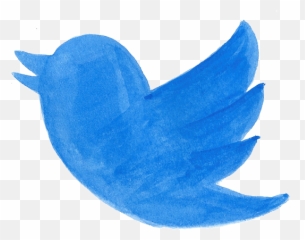 Twitter Bird Katie Rich Story - Hitrecord Image Transparent Animated Twitter Gif Png,Twitter Bird Transparent