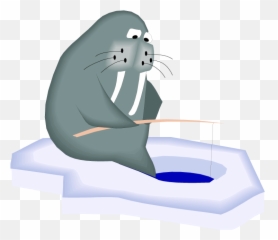 Walrus Clipart 19 - Wikiclipart Ice Fishing Cartoon Png,Walrus Png