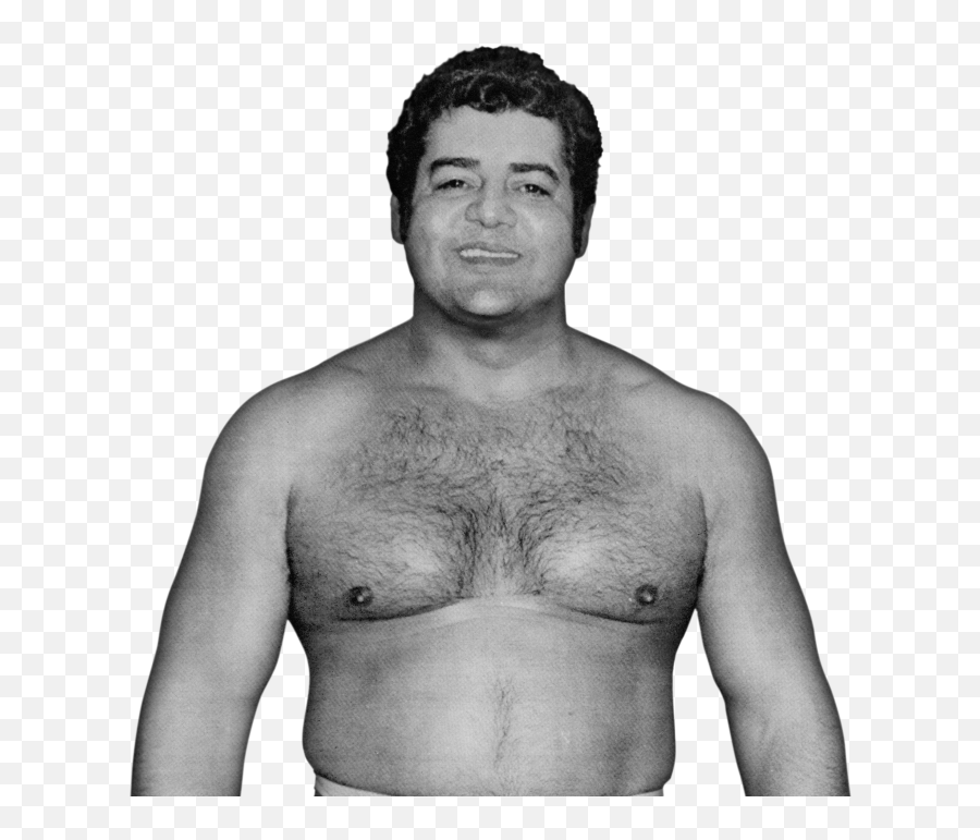 Filepedro Morales Propng - Wikimedia Commons Barechested,Chest Hair Png