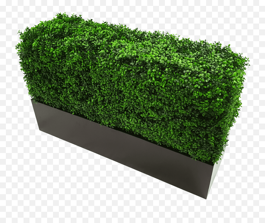 Black Metal Planter Medium - Designer Plants Smoking Area Artificial Hedge Box Png,Planter Png