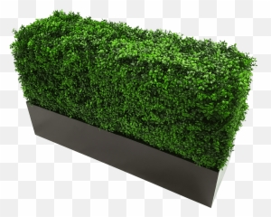 Black Metal Planter Medium - Designer Plants Smoking Area Artificial Hedge Box Png,Planter Png