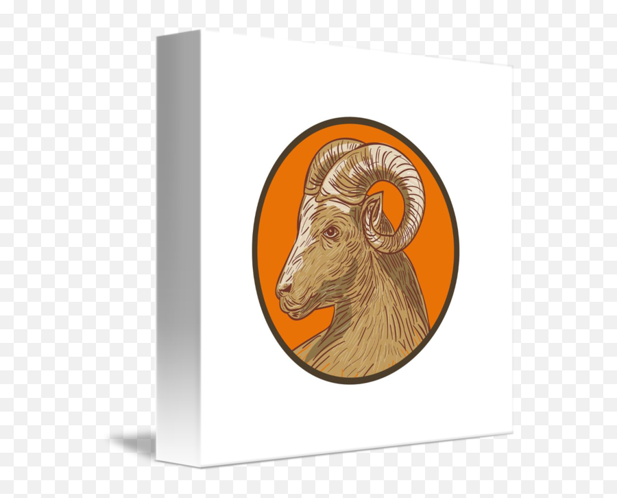 Ram Goat Head Circle Drawing By Aloysius Patrimonio - Bighorn Png,Goat Head Png