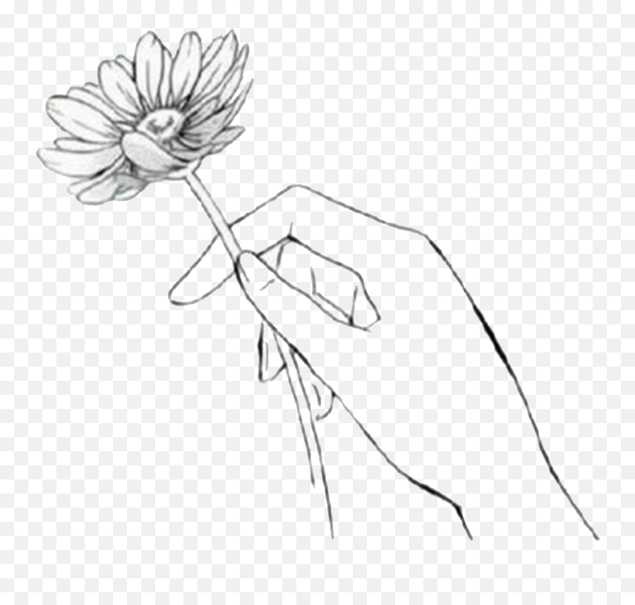 Download Hd Drawn Manga Black And White Anime - Flower In Drawn Hand Holding A Flower Png,Black And White Anime Png