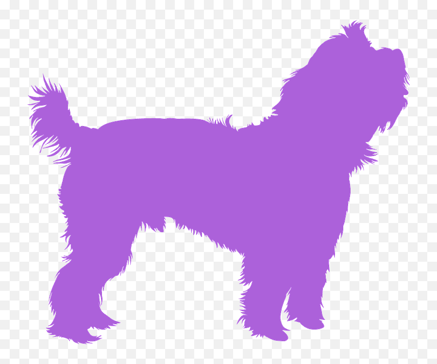 Yorkie Silhouette - Free Vector Silhouettes Creazilla Golden Retriever Silhouette Vector Png,Yorkie Png