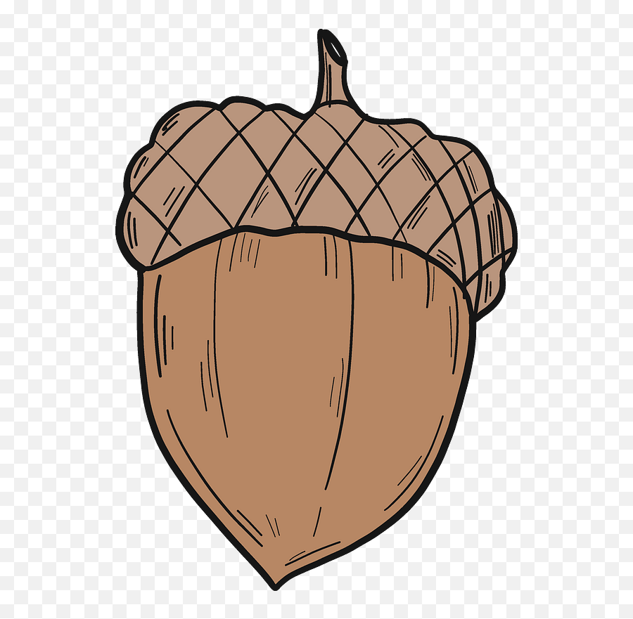 Acorn Clipart Free Download Transparent Png Creazilla - Fresh,Acorn Png