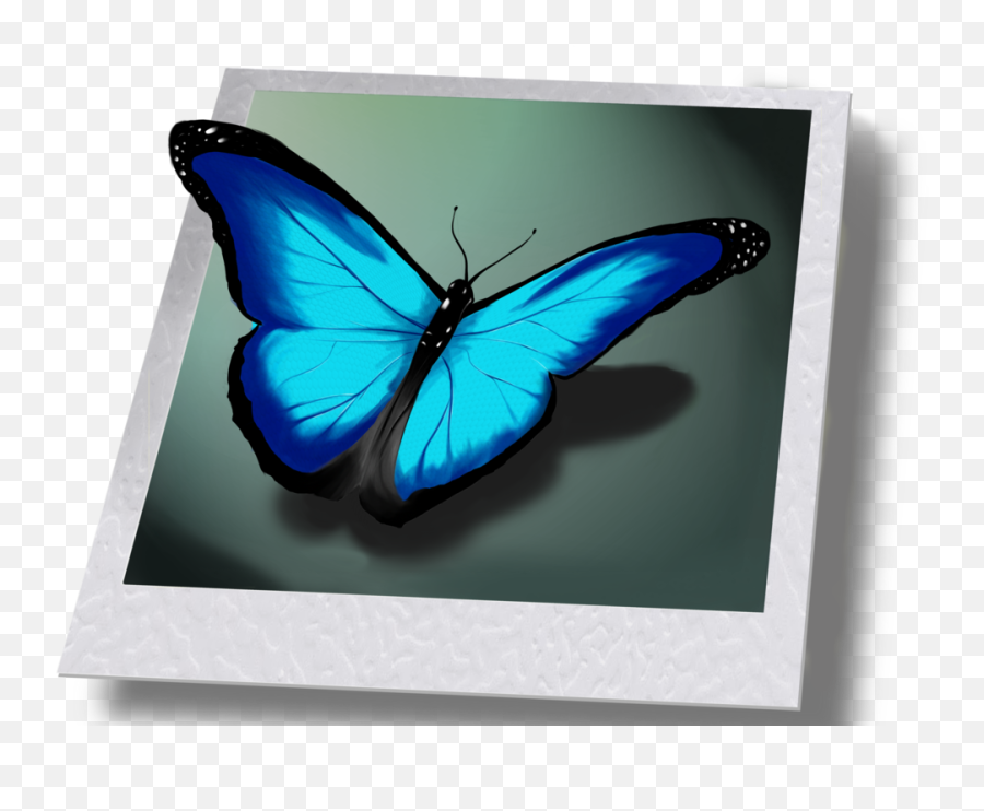 Life Is Strange Png - Butterfly From Life Is Strange Full Life Is Strange 1 Butterfly,Life Is Strange Logo Png