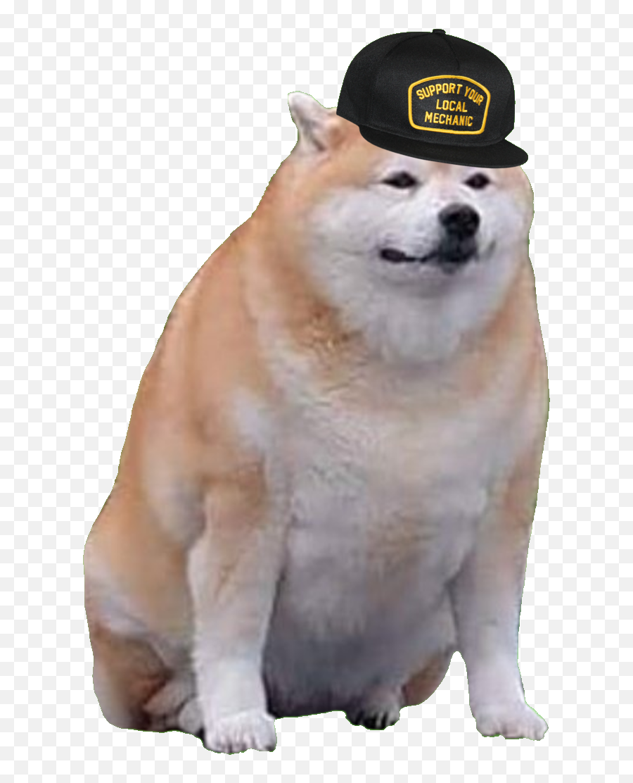 Characters - Uncle Murphy Doge Png,Doge Transparent
