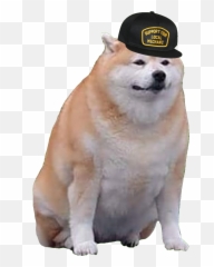 Characters - Uncle Murphy Doge png