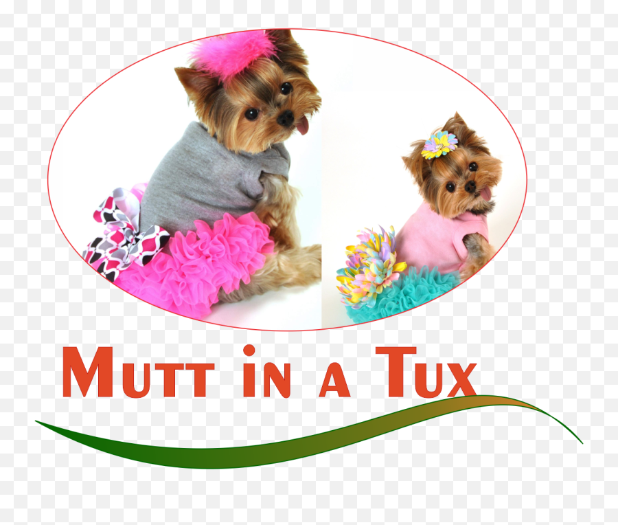 Modern Conservative Pet Care Logo Design For Mutt In A Tux - Dog Clothes Png,Tux Logo