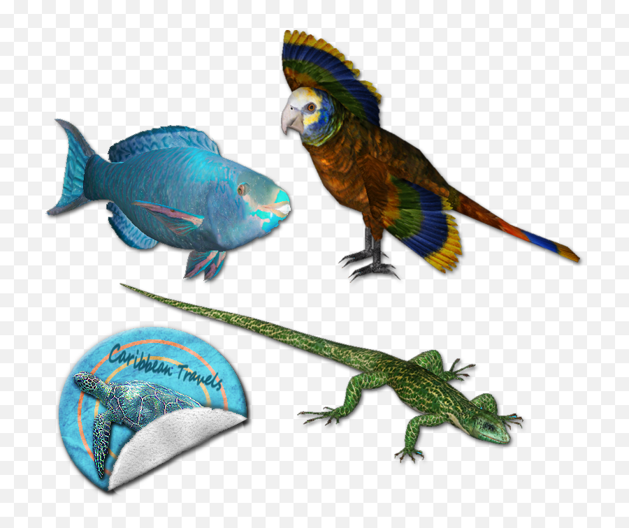 Caribbean Travels Pack - Mods And Animal Figure Png,Zoo Tycoon 2 Icon