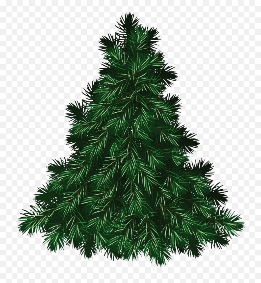 Christmas Pine Tree Png Free Download - Christmas Tree Png Free,Free Tree Png